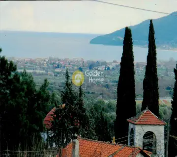 Μονοκατοικία 240τ.μ. προς πώληση φωτογραφία 1
