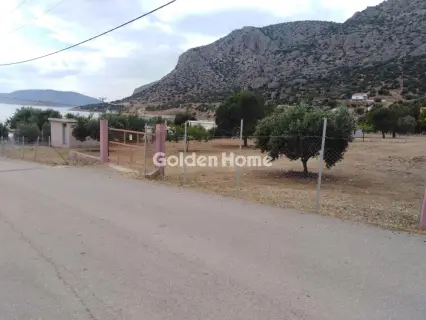 Residential 3300m<sup>2</sup> for sale photo 7