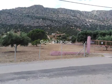 Residential 3300m<sup>2</sup> for sale photo 11