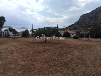 Residential 3300m<sup>2</sup> for sale photo 19