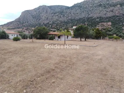 Residential 3300m<sup>2</sup> for sale photo 9