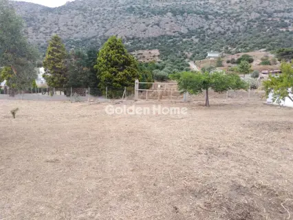 Residential 3300m<sup>2</sup> for sale photo 20