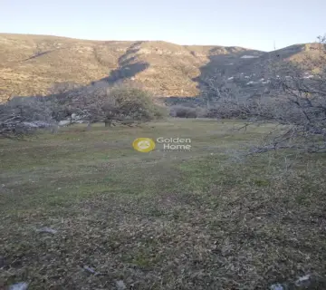 Έκταση 7168τ.μ. προς πώληση φωτογραφία 19