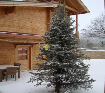 Golden Home Property Image