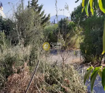 Οικιστικό 282τ.μ. προς πώληση φωτογραφία 2