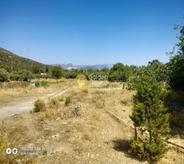 Αγροτεμάχιο 8500τ.μ. προς πώληση φωτογραφία 2249617