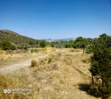 Αγροτεμάχιο 8500τ.μ. προς πώληση φωτογραφία 2249618