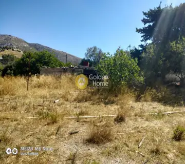 Αγροτεμάχιο 8500τ.μ. προς πώληση φωτογραφία 2249619