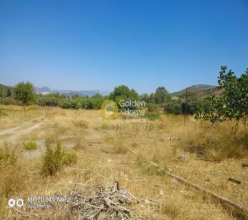 Αγροτεμάχιο 8500τ.μ. προς πώληση φωτογραφία 2249620