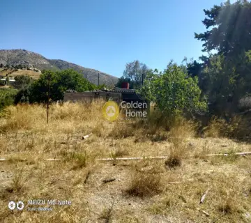 Αγροτεμάχιο 8500τ.μ. προς πώληση φωτογραφία 2249621
