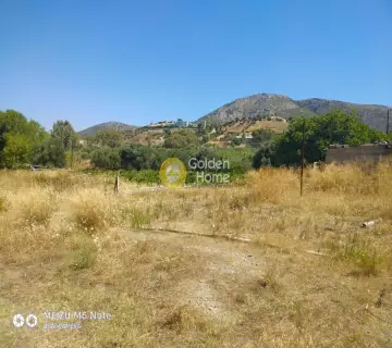 Αγροτεμάχιο 8500τ.μ. προς πώληση φωτογραφία 2249622