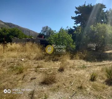 Αγροτεμάχιο 8500τ.μ. προς πώληση φωτογραφία 2249623