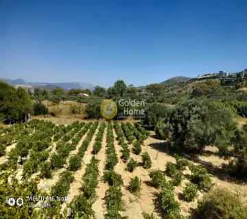 Αγροτεμάχιο 8500τ.μ. προς πώληση φωτογραφία 2249627