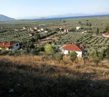Residential 924m<sup>2</sup> for sale photo 4