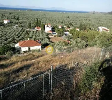 Residential 924m<sup>2</sup> for sale photo 2