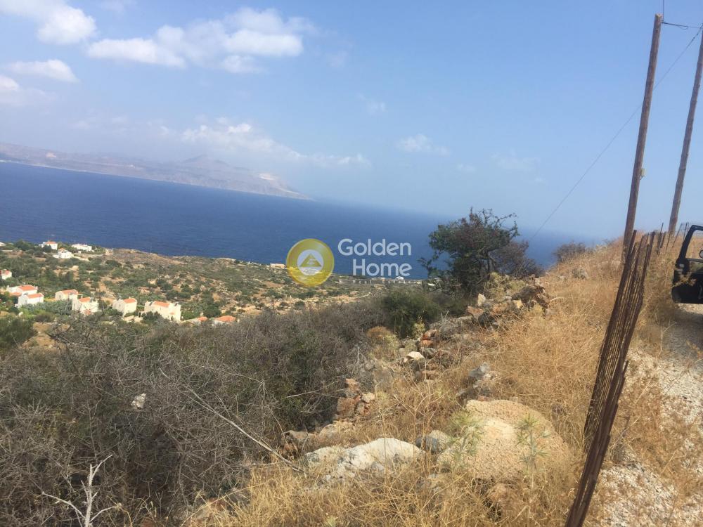 building-plot στην Αφίδνες — Φωτογραφία 9 από 14