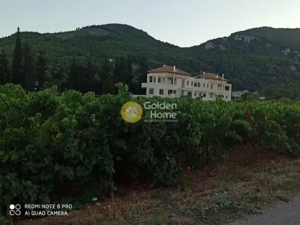Οικιστικό 11300τ.μ. προς πώληση φωτογραφία 2255107