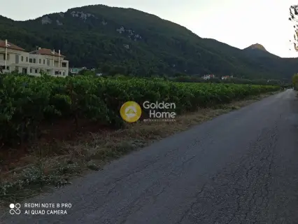Οικιστικό 11300τ.μ. προς πώληση φωτογραφία 2255113