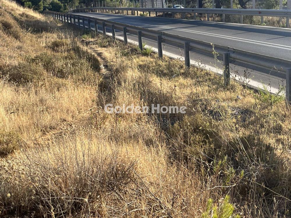 Οικόπεδο 6000m<sup>2</sup> for rent display photo