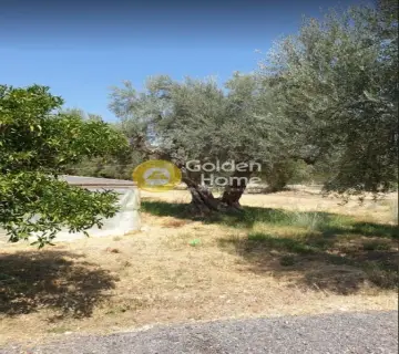 Residential 465m<sup>2</sup> for sale photo 5