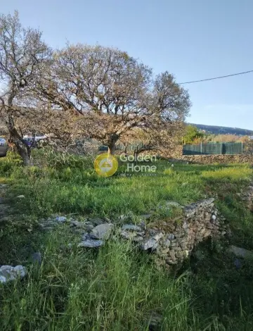 Residential 286m<sup>2</sup> for sale photo 3