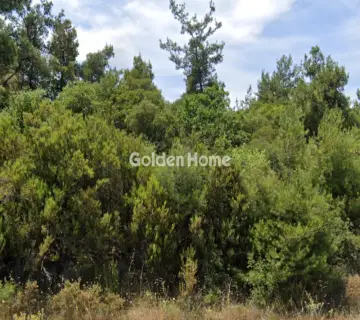Residential 8000m<sup>2</sup> for sale photo 4974364