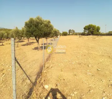 Residential 7500m<sup>2</sup> for sale photo 2251988
