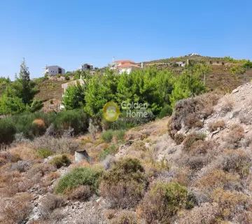 Οικιστικό 986τ.μ. προς πώληση φωτογραφία 2