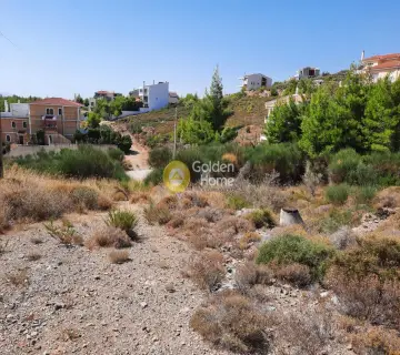 Οικιστικό 986τ.μ. προς πώληση φωτογραφία 3