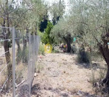 Residential 1100m<sup>2</sup> for sale photo 2