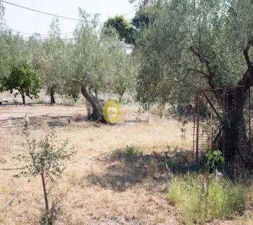 Residential 1100m<sup>2</sup> for sale photo 4