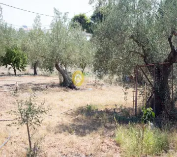 Residential 1100m<sup>2</sup> for sale photo 6