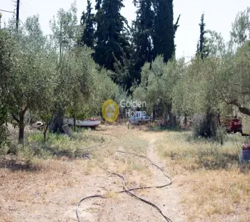 Residential 1100m<sup>2</sup> for sale photo 8