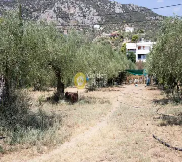 Residential 1100m<sup>2</sup> for sale photo 11