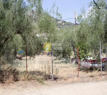 Residential 1100m<sup>2</sup> for sale photo 12