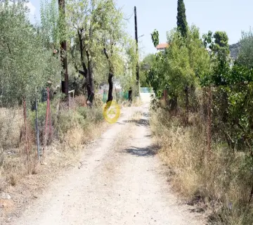 Residential 1100m<sup>2</sup> for sale photo 13