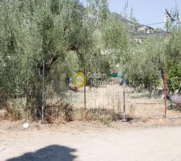 Residential 1100m<sup>2</sup> for sale photo 14