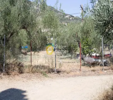 Residential 1100m<sup>2</sup> for sale photo 15
