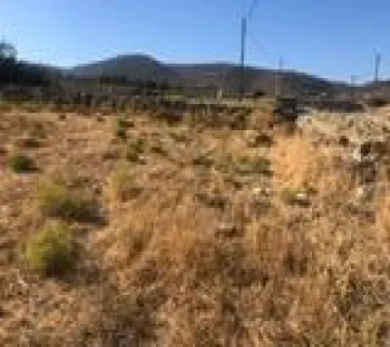 住宅 12320m<sup>2</sup> for sale photo 12