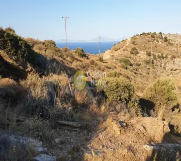 Parcel 4287m<sup>2</sup> for sale photo 8