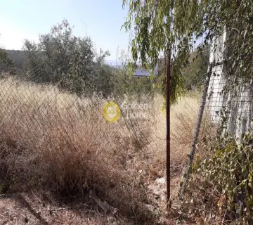 Οικιστικό 282τ.μ. προς πώληση φωτογραφία 2263190