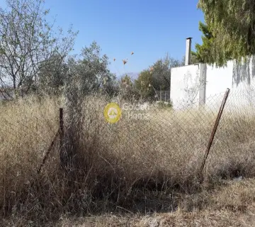 Οικιστικό 282τ.μ. προς πώληση φωτογραφία 2263191