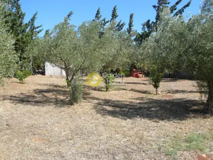 Μονοκατοικία 160τ.μ. προς πώληση φωτογραφία 17