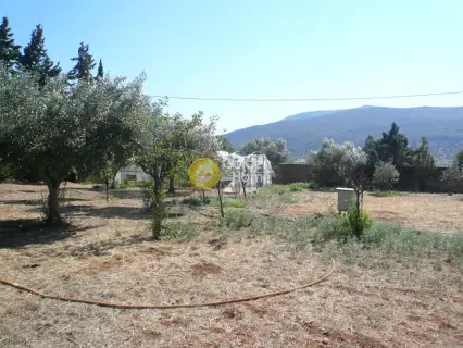 Μονοκατοικία 160τ.μ. προς πώληση φωτογραφία 18