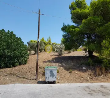 Οικιστικό 2000τ.μ. προς πώληση φωτογραφία 3