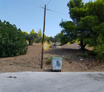 Οικιστικό 2000τ.μ. προς πώληση φωτογραφία 2