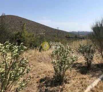 Οικιστικό 1481τ.μ. προς πώληση φωτογραφία 2271408