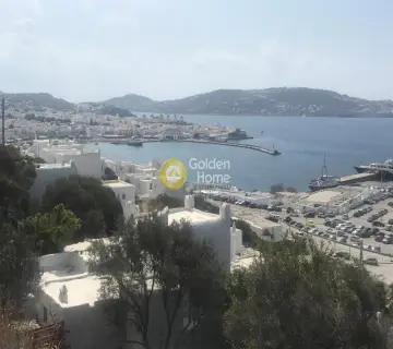 Golden Home Property Image