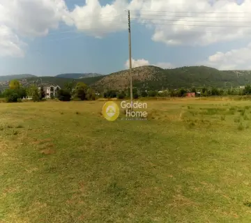 Επαγγελ. Οικόπεδο 8155τ.μ. προς ενοικίαση φωτογραφία 2275545