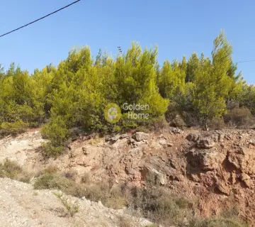 Οικιστικό 502τ.μ. προς πώληση φωτογραφία 3